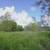 2 Acres in Luling TX! Owner to Owner! No restrictions! 4 thumbnail