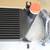 19-23 Ford Ranger - Mountune Performance Intercooler - PLS READ NEW 5 thumbnail