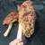 TWO CALIFORNIA CAR DUSTER LOT Original & Mini Industrial Quality Tool 3 thumbnail