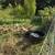 Saxony ducks 1 thumbnail