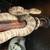 Amazon tree boa 1 thumbnail