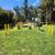 Playground, On-Site Laundry Facilities, Pool 4 thumbnail