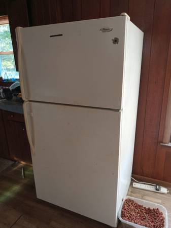 Stand up fridge 1