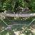 Hammock 1 thumbnail