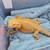 Bearded dragon female 1 thumbnail