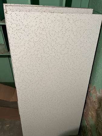 Ceiling Tiles 1