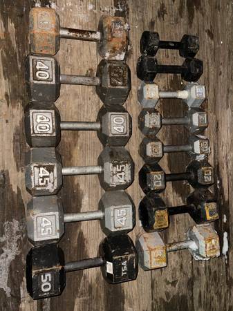 Iron Dumbbells weights workout exercise weight dumbbell hex dumbells 1