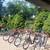 AFFORDABLE BICYCLE'S $100 AND UP , PREMIUM BICYCLE'S,  ALL READY 1 thumbnail