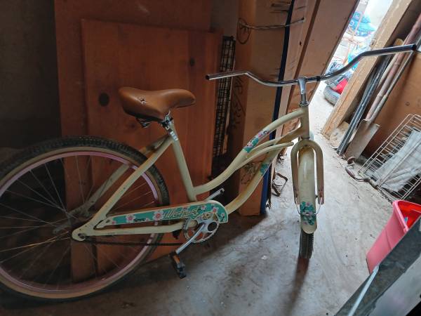 West coast beach cruiser 1