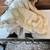 Antique Bisque Face and Arms Doll with Clothing - Over 100 Years Old! 5 thumbnail