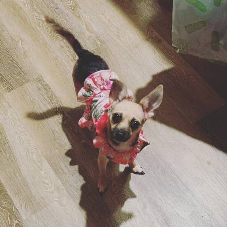 Experienced live in caregiver 1