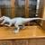 Jurassic World Camp Cretaceous Super Colossal Indominus Rex Action Fig 6 thumbnail