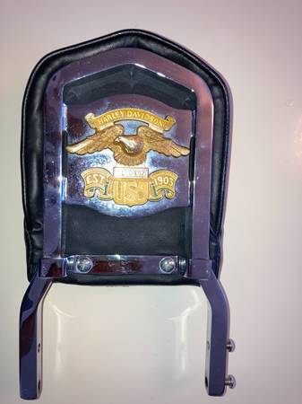 HD back rest 1