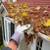 ✨️$100.GUTTER,GUTTERS ✨️CLEANING-GUTTER REPAIR-NEW GUTTERS✨️$150 21 thumbnail