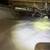 EXANDER'S Attic Rodent control 16 thumbnail