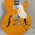 Samick RL-3 Greg Bennett Royale Electric Guitar Semi-Hollow 3 thumbnail