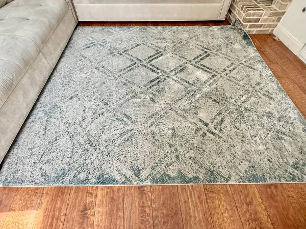 Beautiful area Rug 1