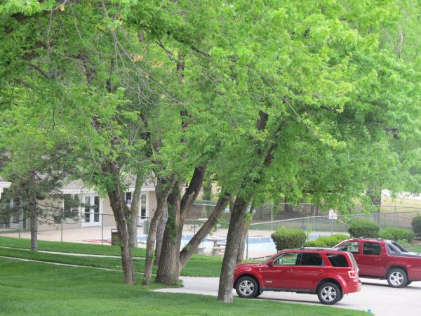 $1,185 / 2br - 984ft2 - Amazing View of Downtown Omaha!63681695624067121
