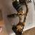 Hoyt XT 2000 Compound Bow 3 thumbnail