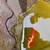 Young Koi fish 3 thumbnail