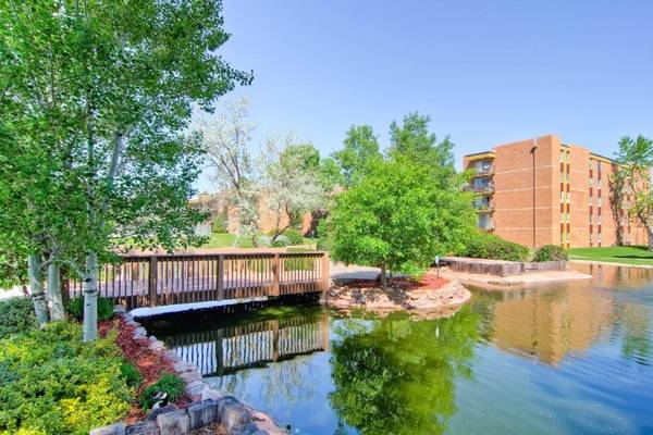 $1,085 / 1 habitación - 715 pies² - 1B/1B, ¡¡¡1 MES GRATIS!!! (Goldsmith, entre DU y DTC)63849271861251120