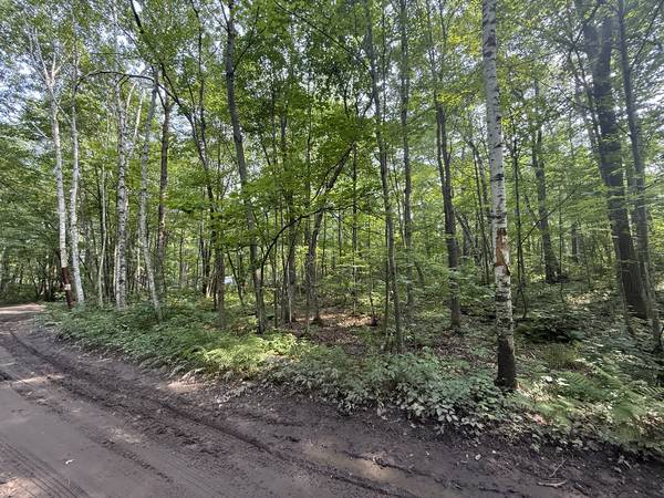 Corner Lot for Camping or RV Use – 0.69 Acre 1