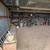 Huge Ranch Estate Sale with Tools, Vintage Goods and Lawn Equipment 18 thumbnail