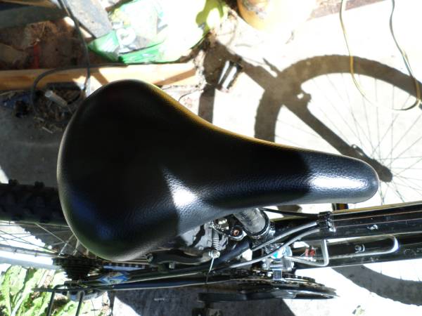 Raleigh Mojave 2.0 - $55 (Bremerton)63471358491651123