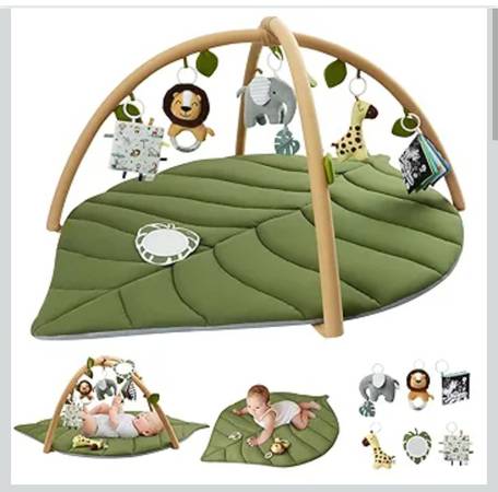 Blissful Diary Baby Activity Gym 1