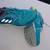 Adidas Supernova Sequence Running Shoes - Ladies Size 10US 8 thumbnail