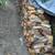 Firewood / wheelbarrow 1 thumbnail