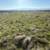 10 Acres AMAZING views Gilroy. Animal property. Duke Drive 18 thumbnail