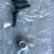Engine Cooling Fan Motor NIDEC 2401750 6 thumbnail