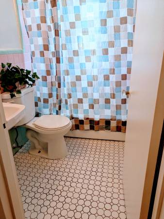 $895 / 1br - 600ft2 - Lovely Hardwood Floors, First Floor (College Hill)63685943857155124