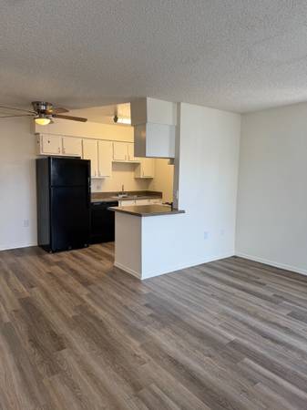 $1,029 / 1br - 544ft2 - Cozy One Bedroom One Bath! (Tucson)63674809494403123