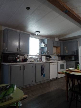 $300 / 3br - Habitación agradable para mujer (Tyler)64037557668738123