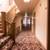 Studio in Los Angeles + Fridge + High Ceilings + Wood Inspired Floors 1 thumbnail