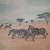 African Zebras on the Serengeti Plains - "2"Different Pieces for sale 5 thumbnail