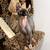 Sphynx cat 1 thumbnail