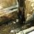 We barter Boiler and plumbing work for trucks 6 thumbnail