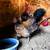 Mixed breed bantams 3 thumbnail