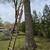 Wooden extension ladder 2 thumbnail