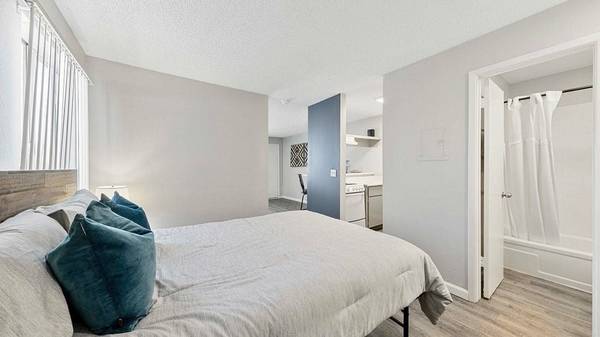 $799 / 1br - 496ft2 - Window coverings, wheelchair access, carpeting (920 Sierra Vista Dr, Las Vegas, NV)63859496798339122