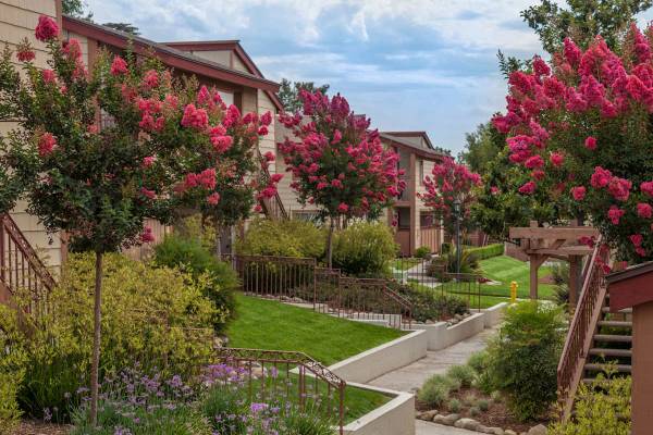$3,065 / 3br - 1030ft2 - Complimentary Amazon HUB Parcel Locker, Heated Swimming Pool & Spa (9850 19th Street, Alta Loma, CA)64028081892737124