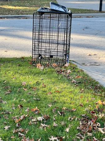 Free small animal cage 1