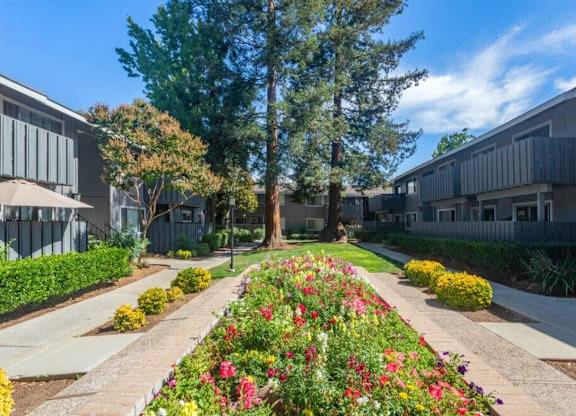 $2,675 / 1br - 660ft2 - 🌞 Resort-Style Poolside Relaxation Awaits at Cherrywood (san jose south)63824141249921121