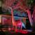Rentals - Party - Events - Venues - Photo Shoots - Props - dinosaur Re 5 thumbnail