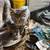 Kittens 3 thumbnail
