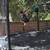 12 foot ALLEYOOP Trampoline 2 thumbnail