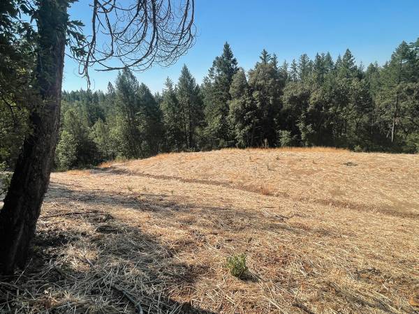 $125,000 REDUCED!!  10 Plus Forested Acres, Good Well, Quiet, Water Storage (Grass Valley)63952105759491123